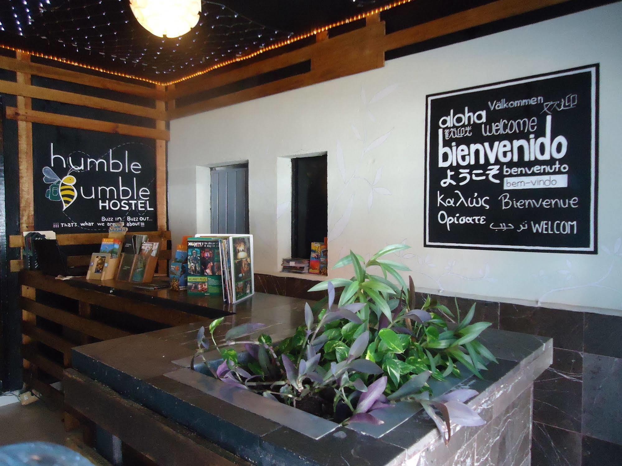 Humble Bumble Hostel Playa del Carmen Exterior photo