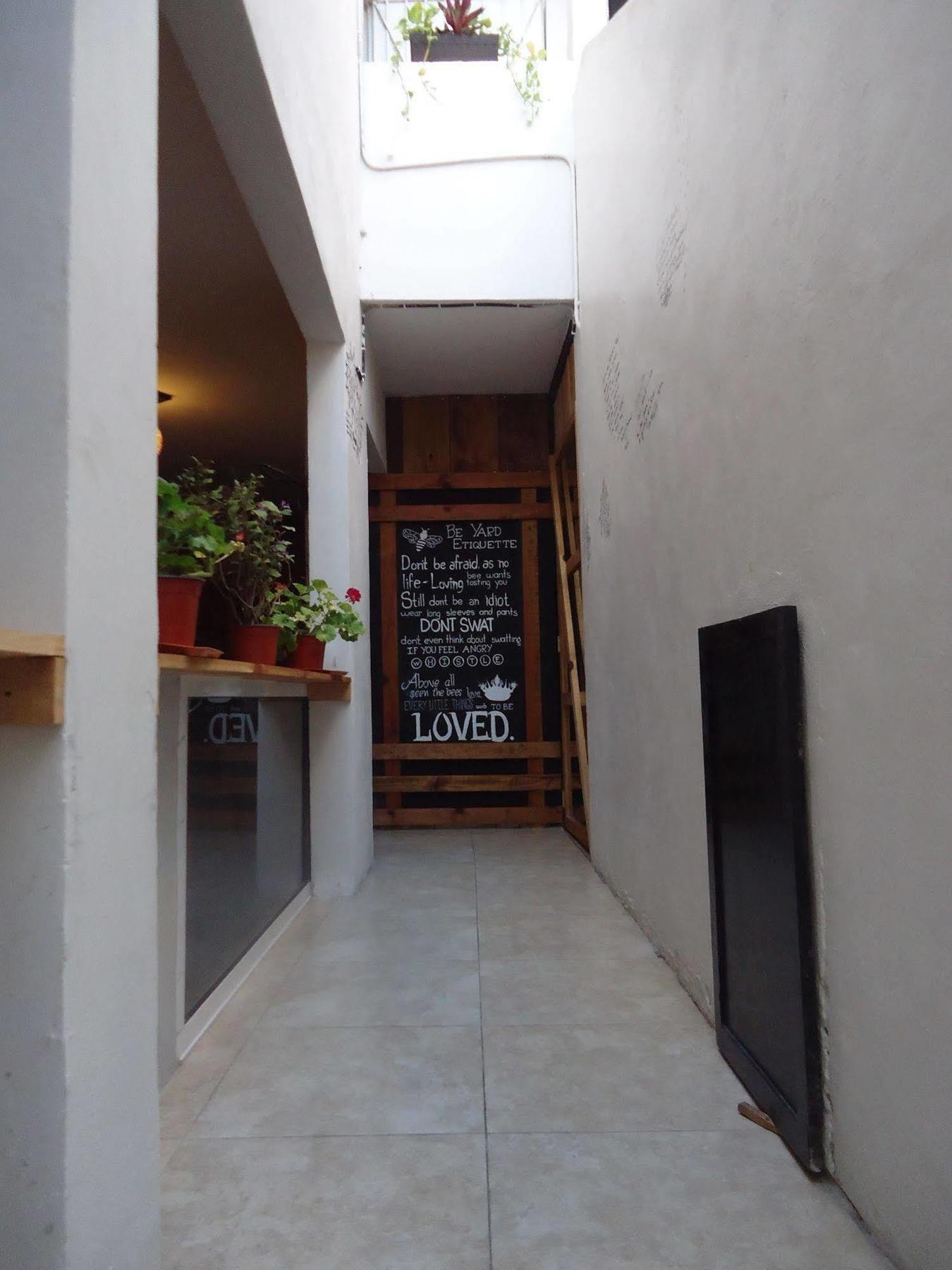 Humble Bumble Hostel Playa del Carmen Exterior photo